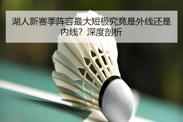 湖人新赛季阵容最大短板究竟是外线还是内线？深度剖析